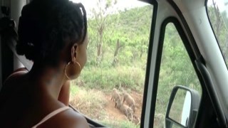 Cute Ebony Girlfriend Gives Deep African Safari Road Head POV