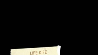 LifeKife - PornHub no. 03