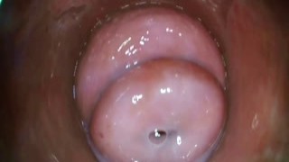 Orgasm an inside view